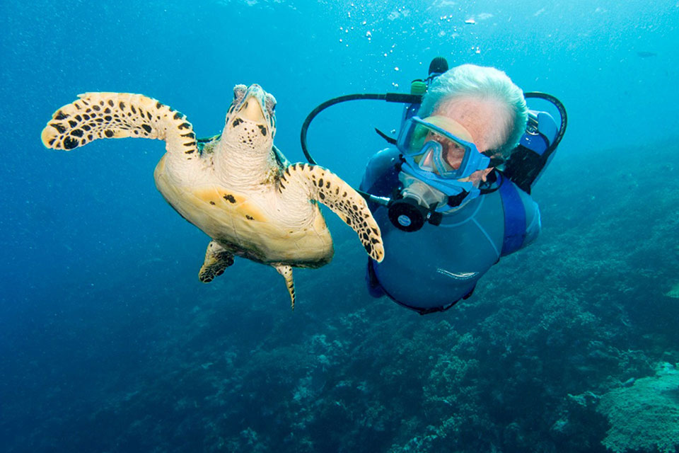 Diving at the peninsula at Jean-Michel Cousteau Resort Fiji