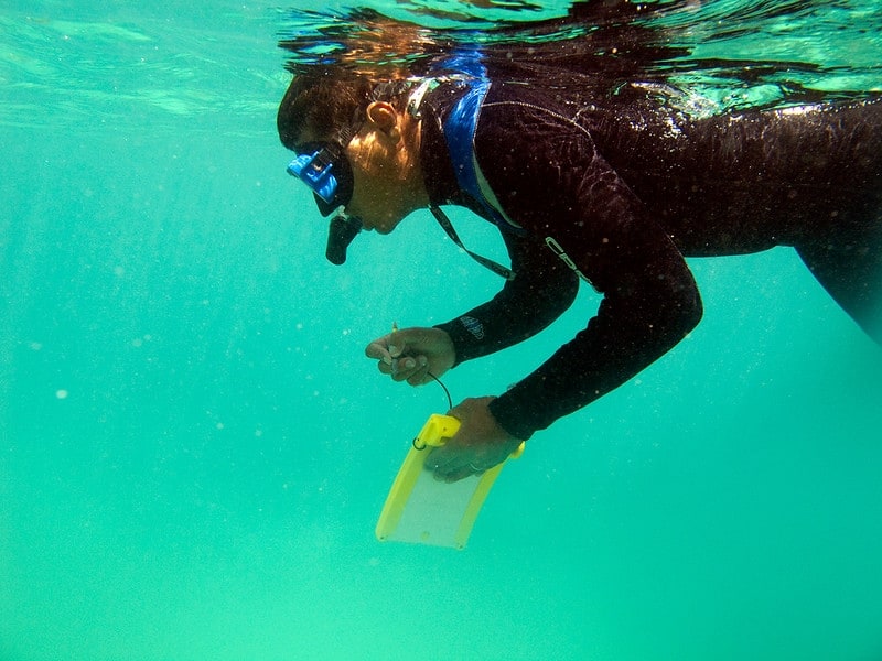 Are you ready to capture the underwater world of Fiji?