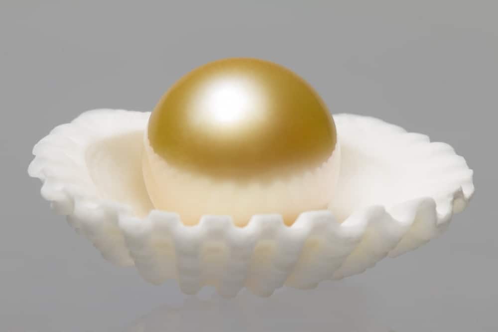 Discover the beauty of the rarest pearls on Earth.