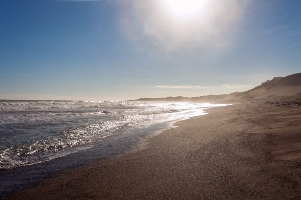 Explore the shimmering sands of Fiji with  Jean-Michel Cousteau Resort.