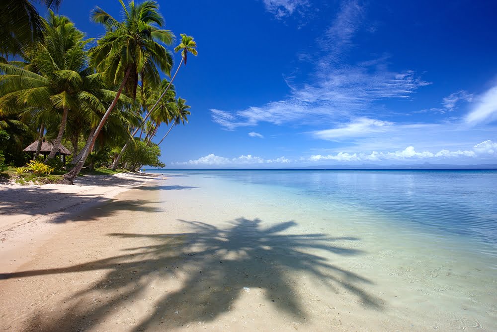 Find out how you can volunteer on your Fiji holiday.