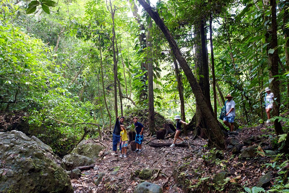 From rainforests and waterfalls to mangroves and reefs, there are a slew of natural wonders worth seeing in Fiji.